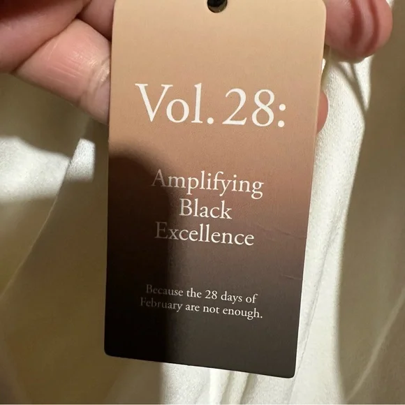 Abercrombie & Fitch Cream Drape V-Neck Blouse NWT XXL - Picture 4 of 7